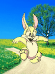 pic for Rabbit Happy